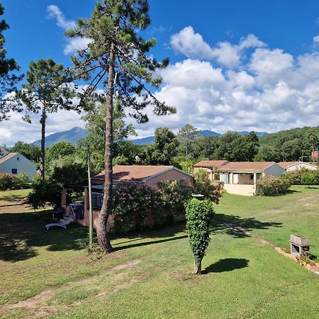 Pinea Mare Hotel Poggio Mezzana Bagian luar foto