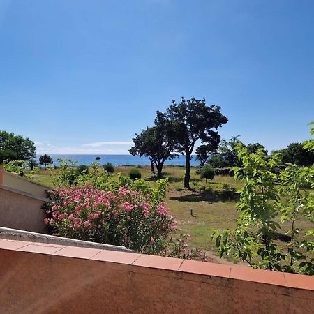 Pinea Mare Hotel Poggio Mezzana Bagian luar foto