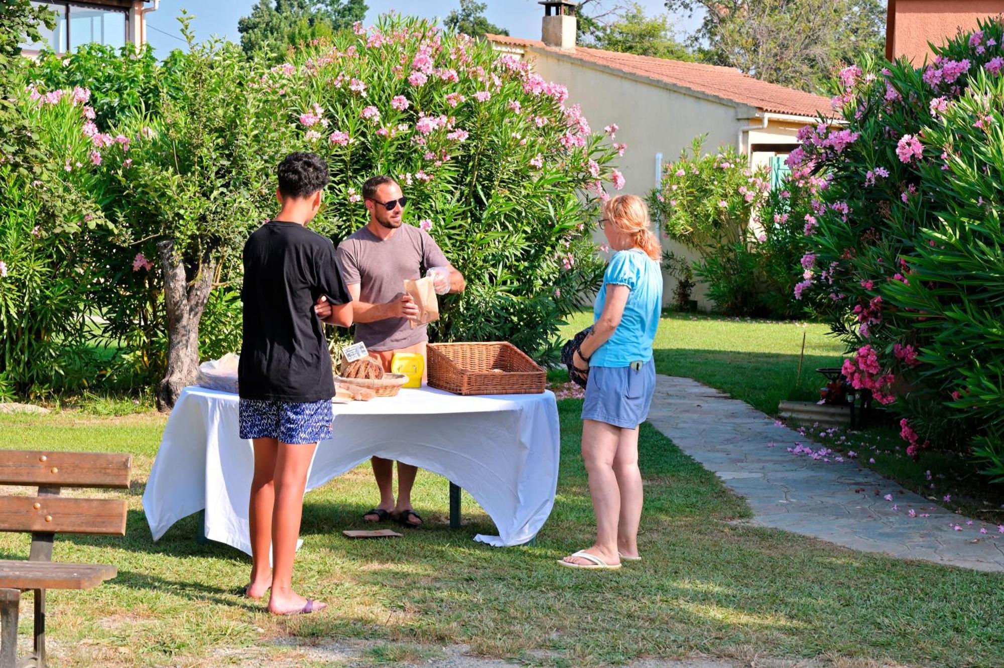 Pinea Mare Hotel Poggio Mezzana Bagian luar foto