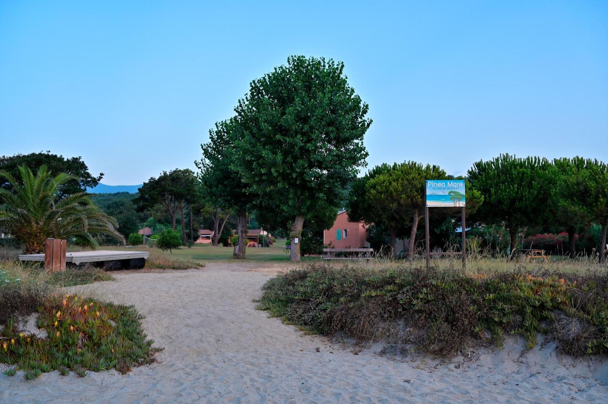 Pinea Mare Hotel Poggio Mezzana Bagian luar foto
