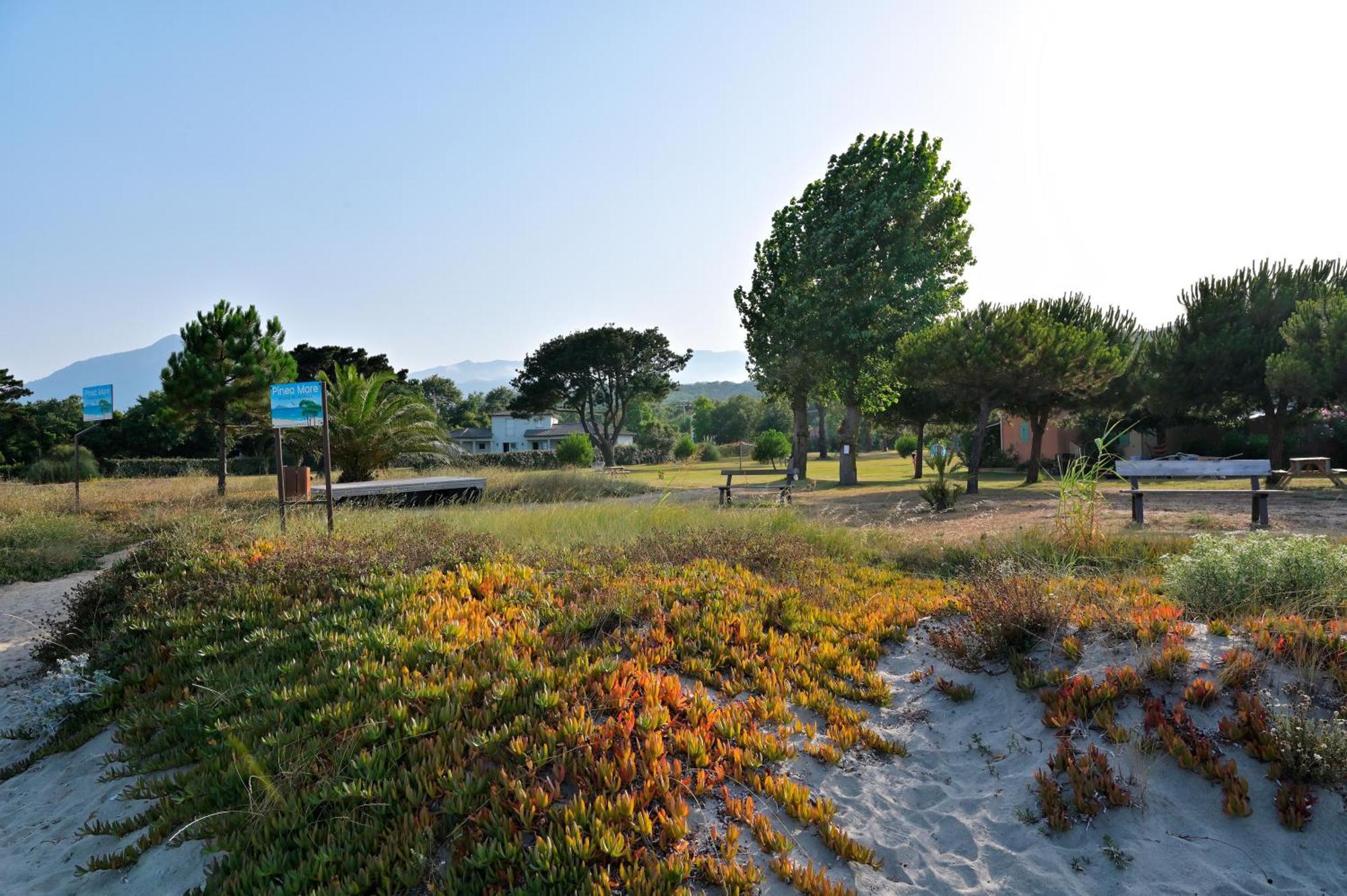 Pinea Mare Hotel Poggio Mezzana Bagian luar foto