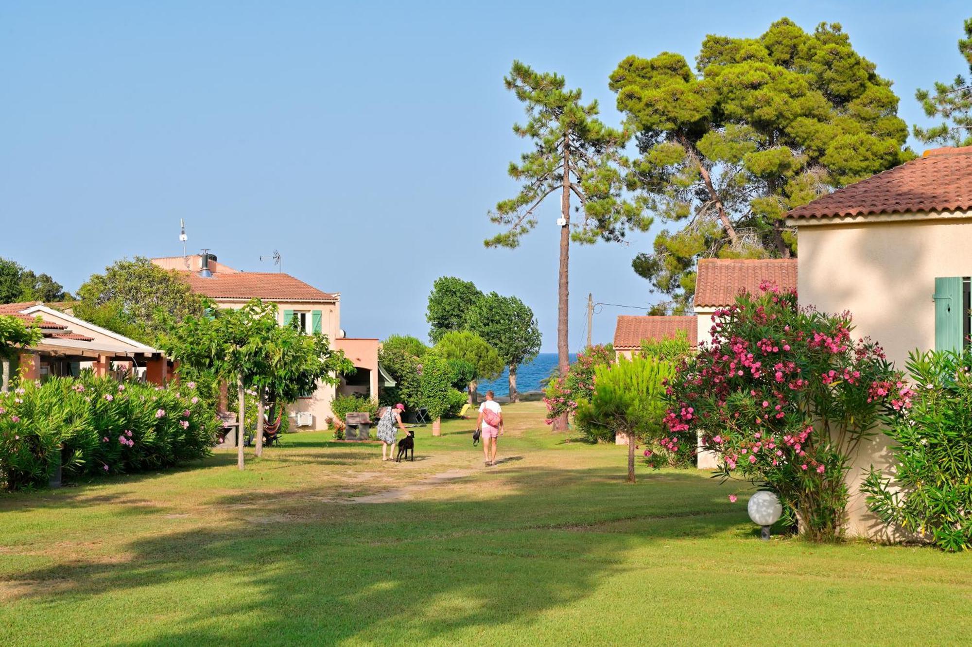 Pinea Mare Hotel Poggio Mezzana Bagian luar foto
