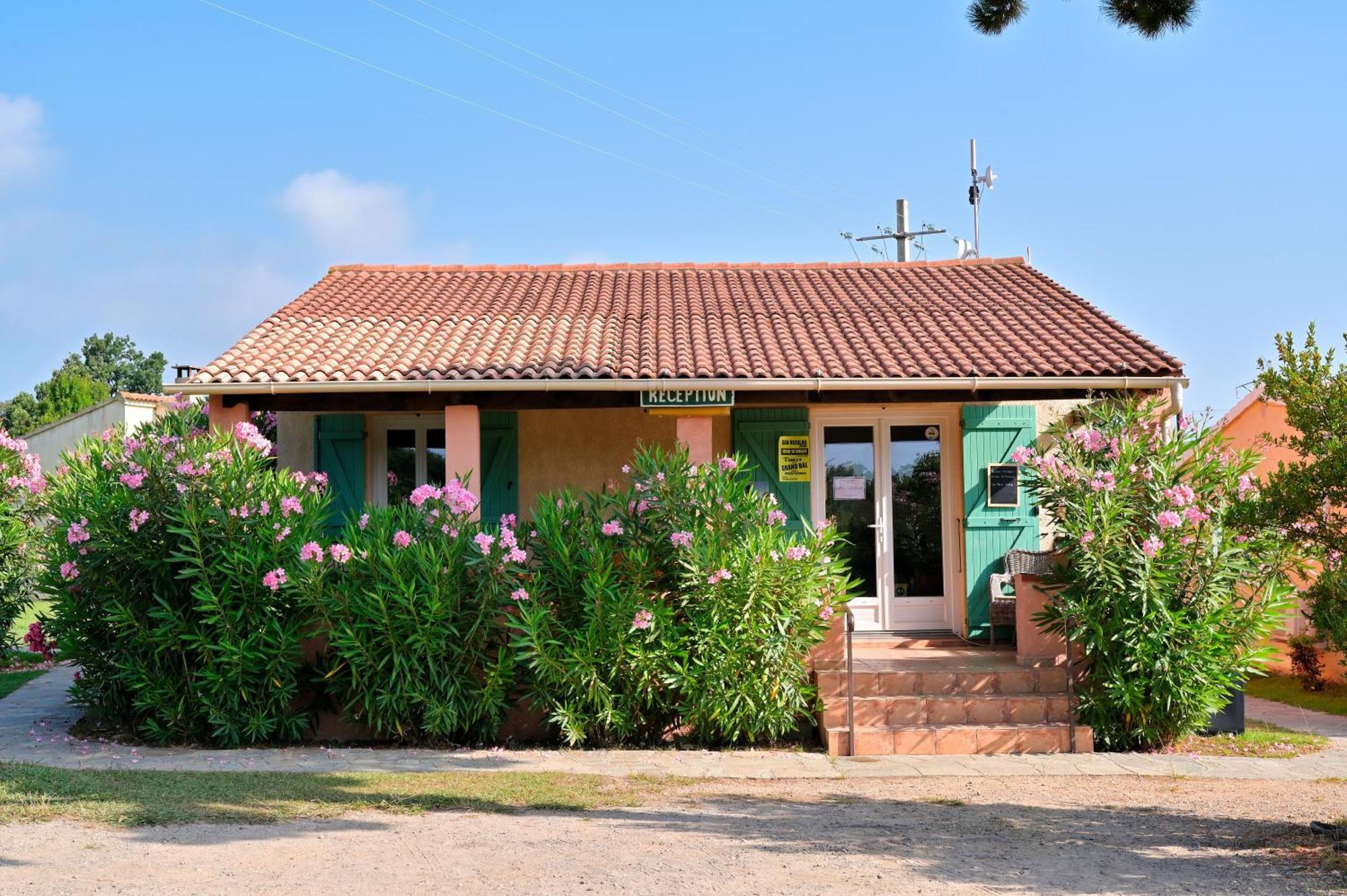 Pinea Mare Hotel Poggio Mezzana Bagian luar foto