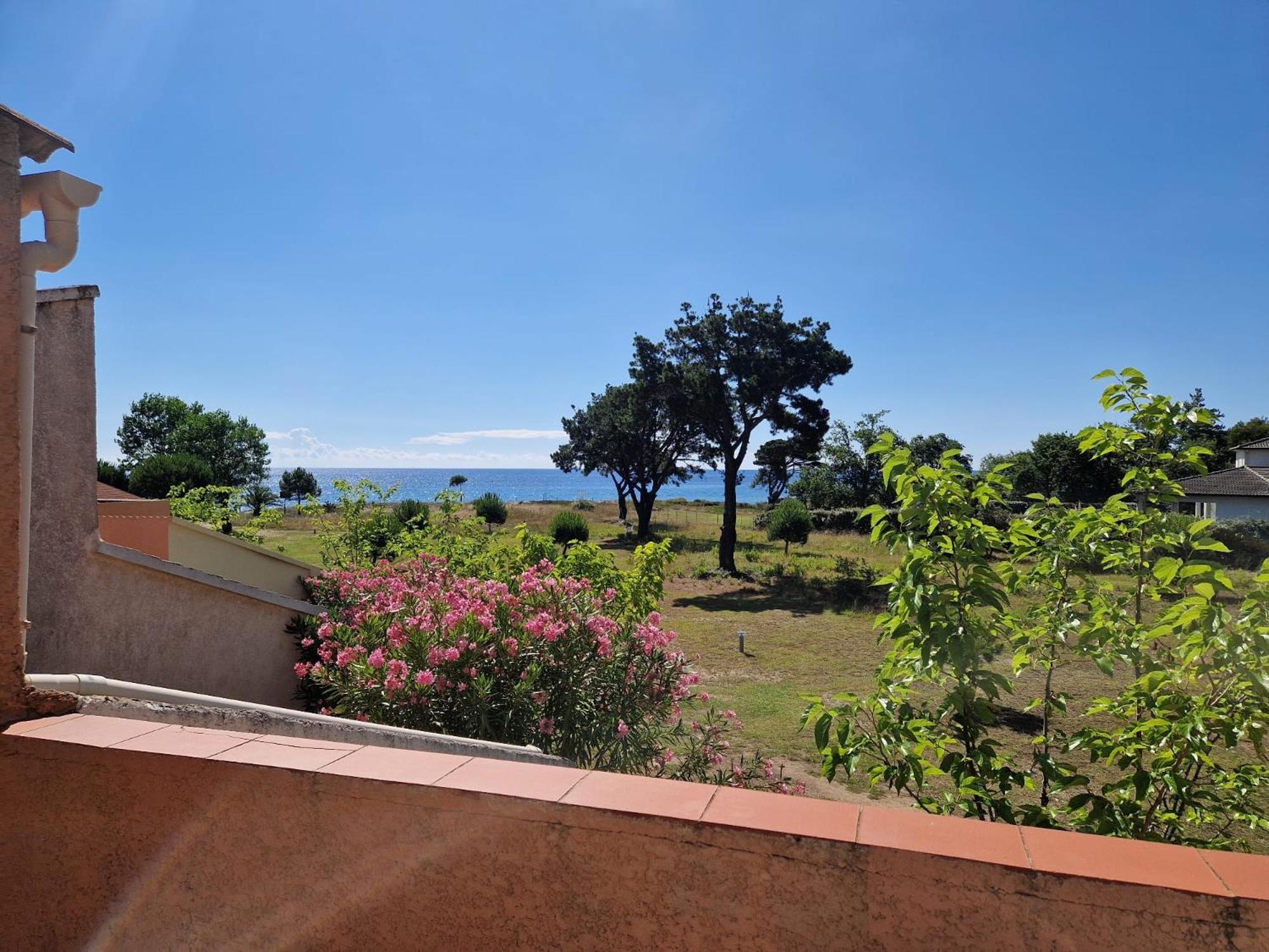 Pinea Mare Hotel Poggio Mezzana Bagian luar foto